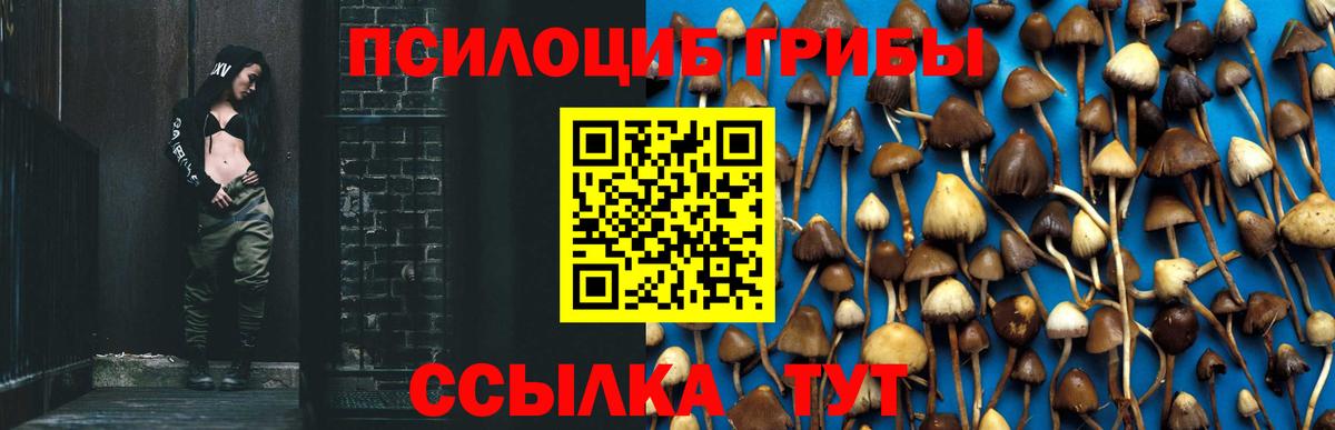 Псилоцибиновые грибы MAGIC MUSHROOMS Усолье-Сибирское